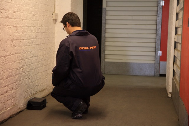 dyno-pest-control-service