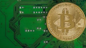 Popularity of Cryptocurrency